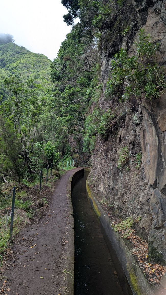 Tag 13: Levada da Ribeira da Janela & Nordwestküste