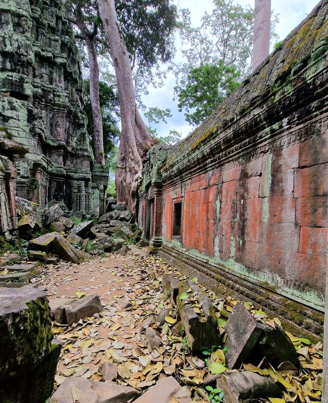 Baphuon und Ta Phrom - Himmelsleiter und himmlischer Ort