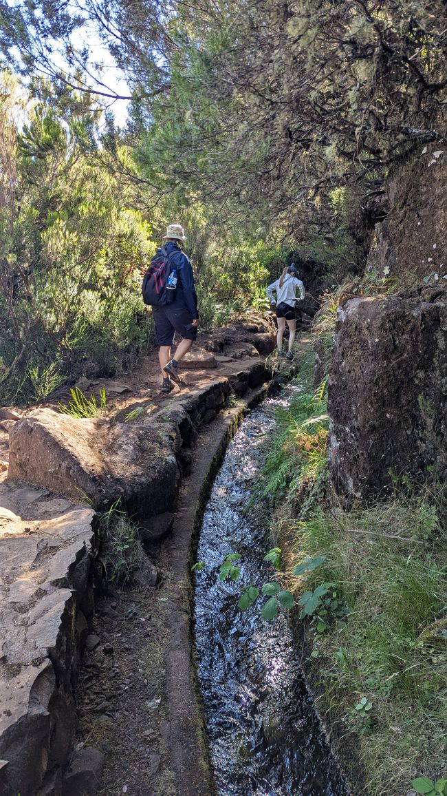 Tag 11: Levada do Alecrim und ein Open Air Festival