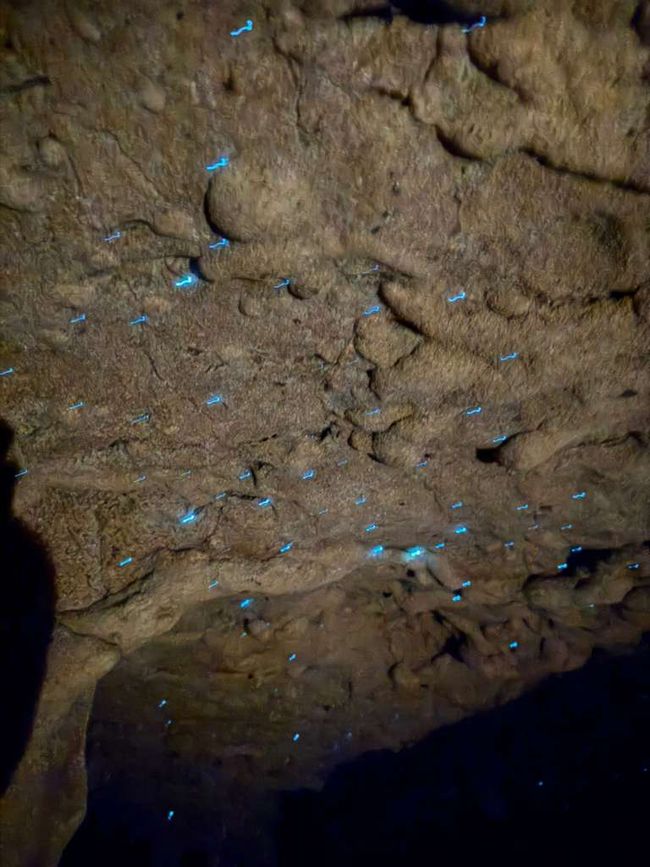 Spellbound-Glowworm-Tour 