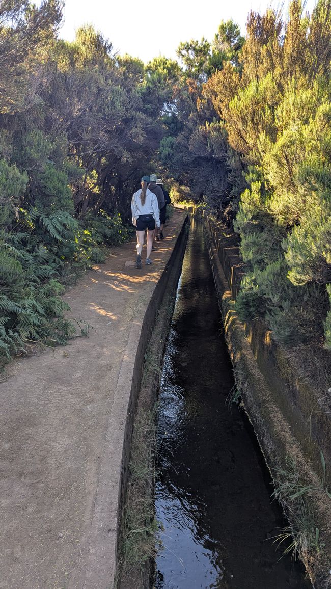 Levada do Alecrim