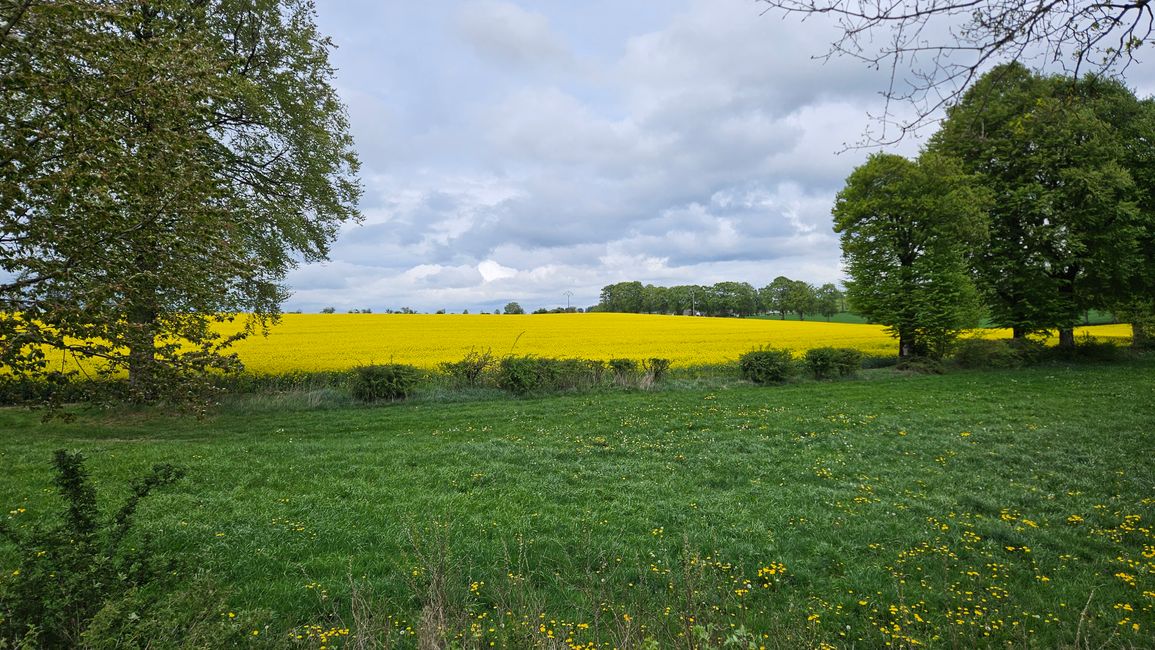 hinter St. Vith