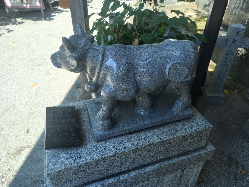 Kyoto la Première