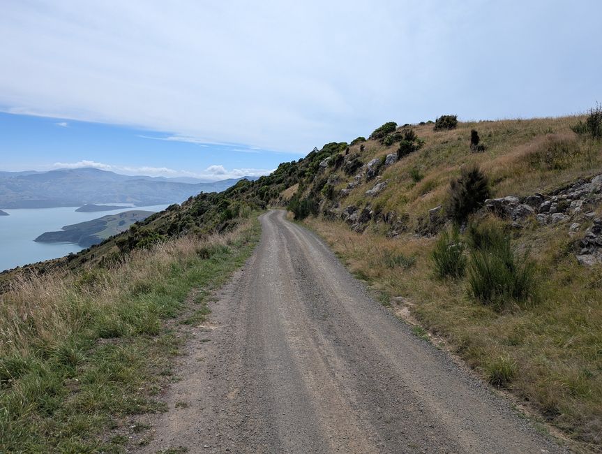 Ostteil Banks Peninsula