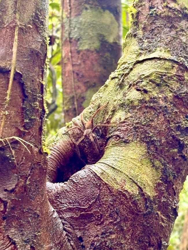 Unterwegs in Costa Rica