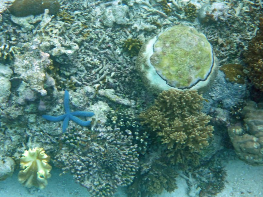 Sauwandarek, Raja Ampat, Indonesia