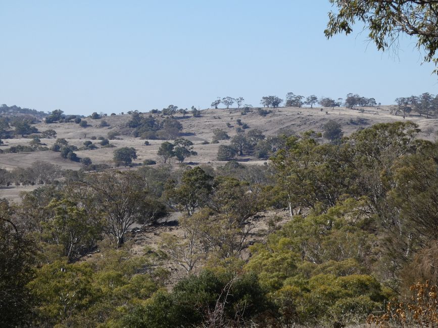 Tanunda, Barossa Valley
