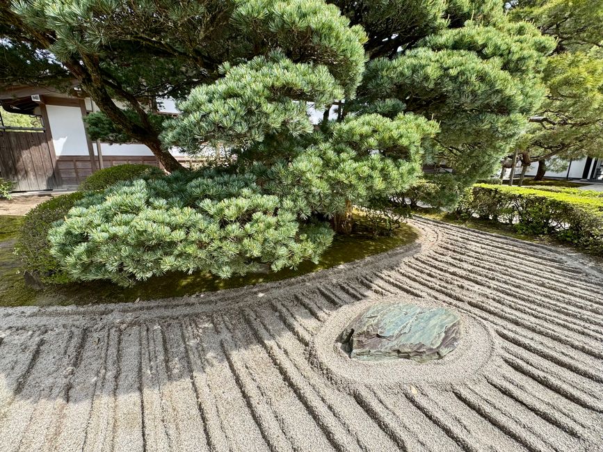 Part 8 Japan 🇯🇵 Kanazawa