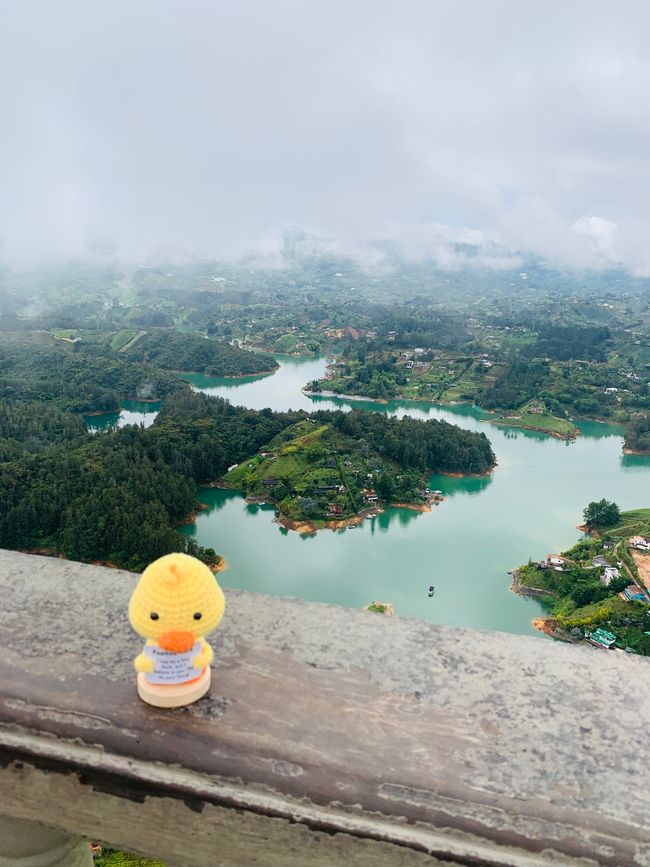 Daisy Duck aveva un po' di vertigini. 612