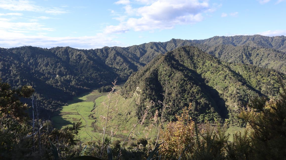 Atene Skyline Track - die Wanderung führt einmal über den Bergkamm entlang, um den kleinen Berg in der Mitte