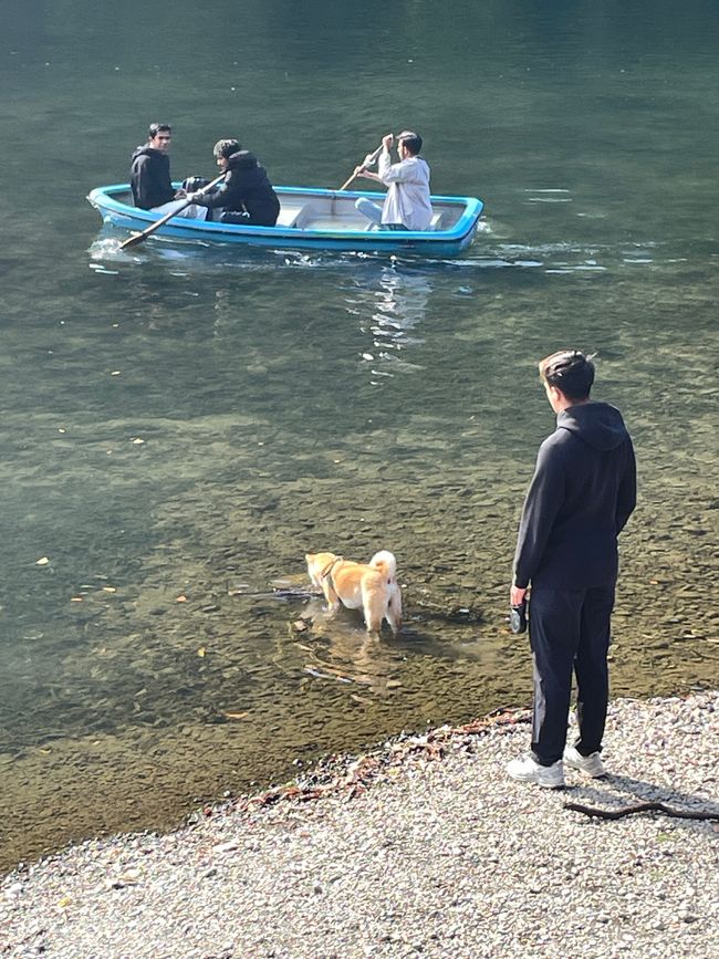 23.Kapitel: Arashiyama oder ein Tag von vorne bis hinten gelungen