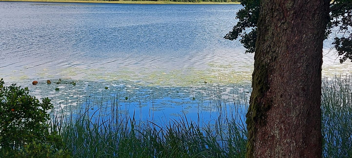 Unsere Seelen baumeln am See😇