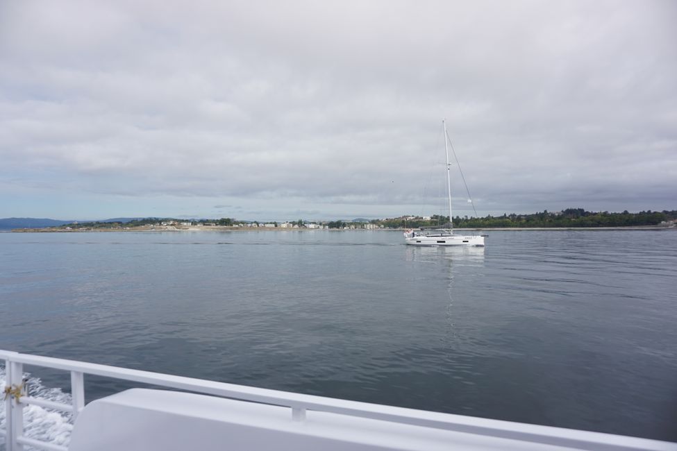 Day 18: Whale Watching
