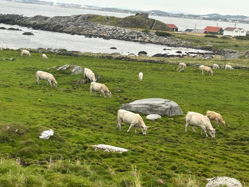 Tag 3 - Norwegen empfängt uns herzlich