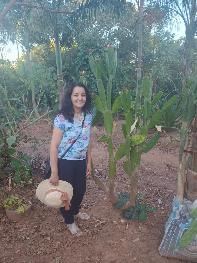 Botanischer Garten in Gondola
