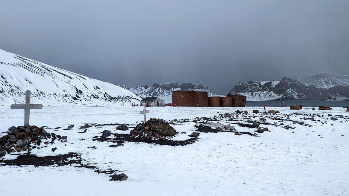 meraviglia antartica