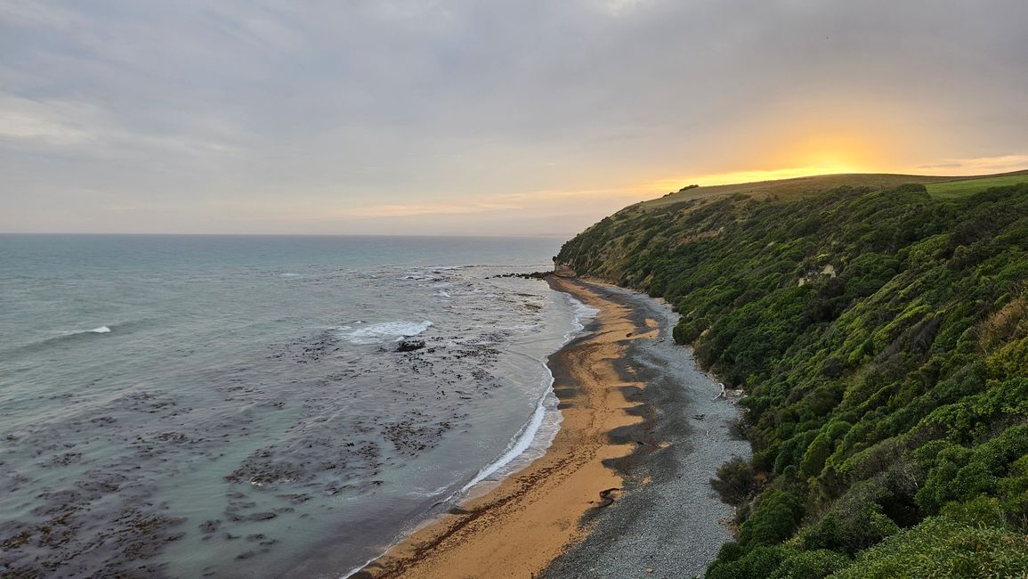 Timaru - Oamaru - Moeraki - Dunedin - Otago Peninsula - Oamaru