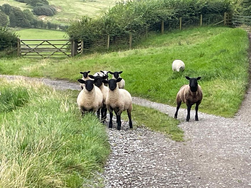 25.08.24 St Bees nach Ennerdale Bridge