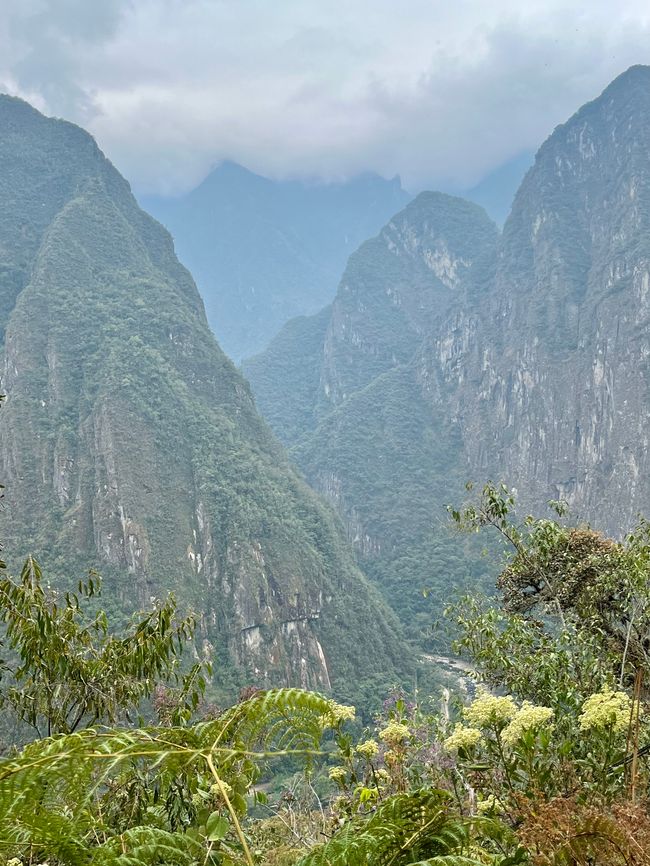 Aguas Calientes