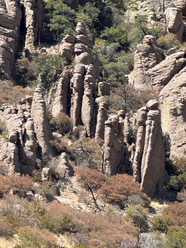 BLOG 12: In der Heimat der Chiricahua-Apachen