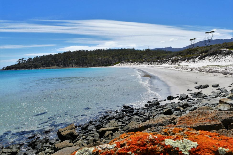 - Singapur & Tasmania 2019 -