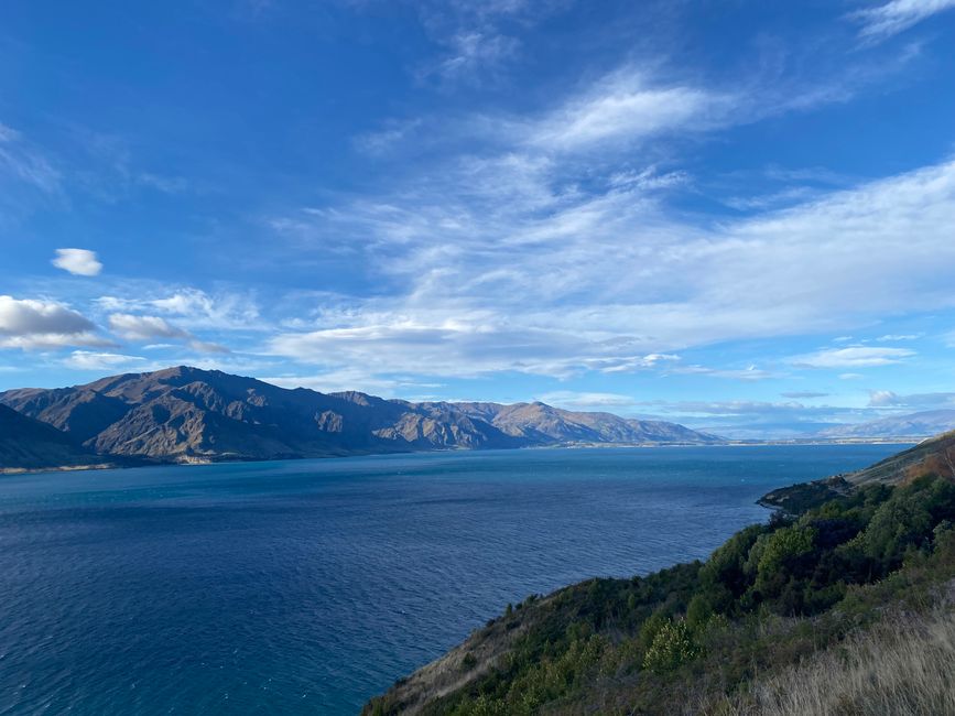 Sulle Haast Pass