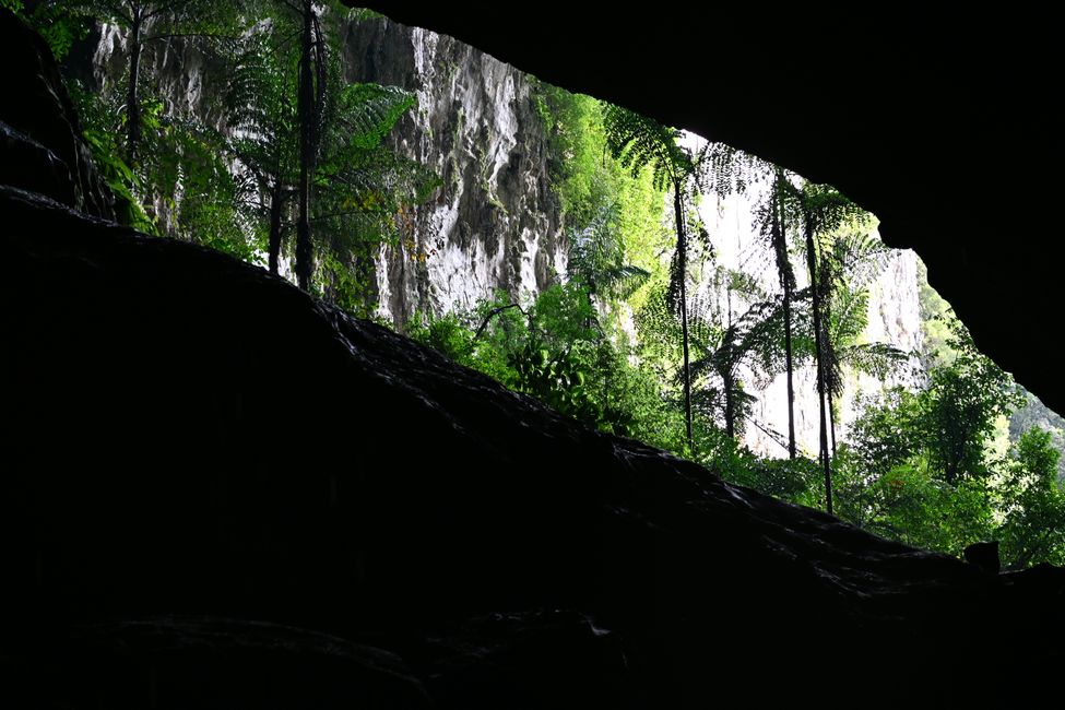 Parc National de Mulu