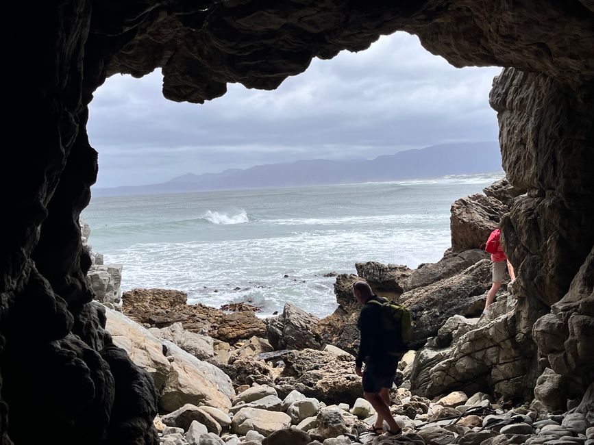 Hermanus