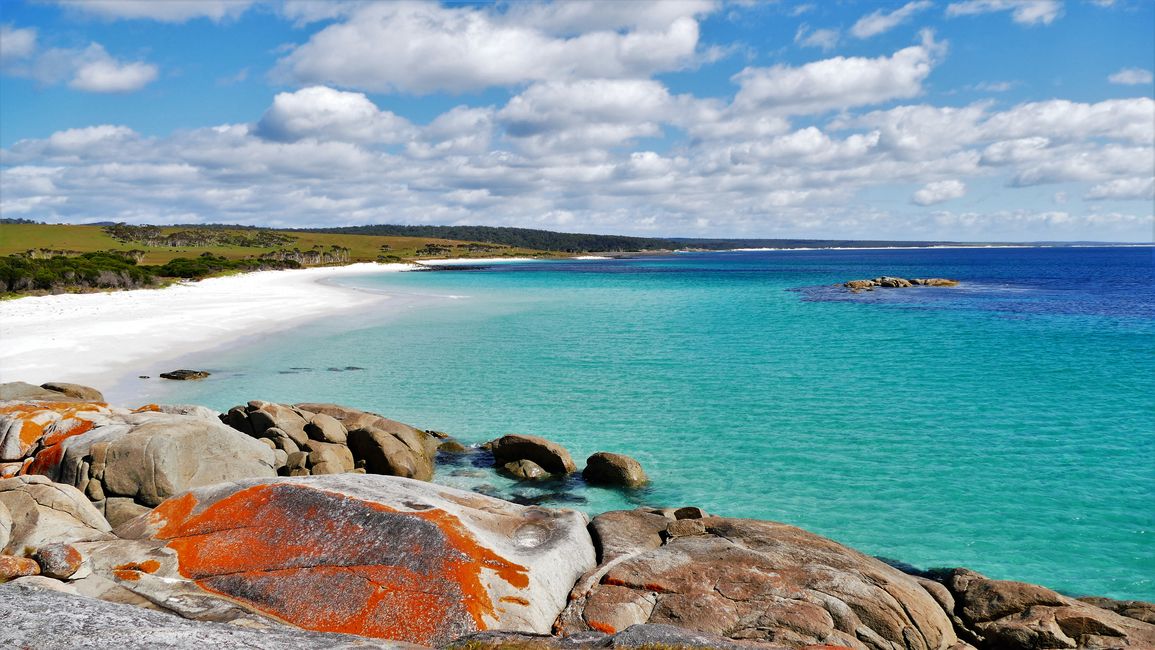 - Singapur & Tasmania 2019 -