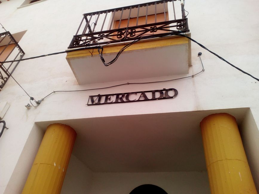 Fotos von Castilléjar (de los Ríos) (Granada) (Dezember 2022) (Teil 2)