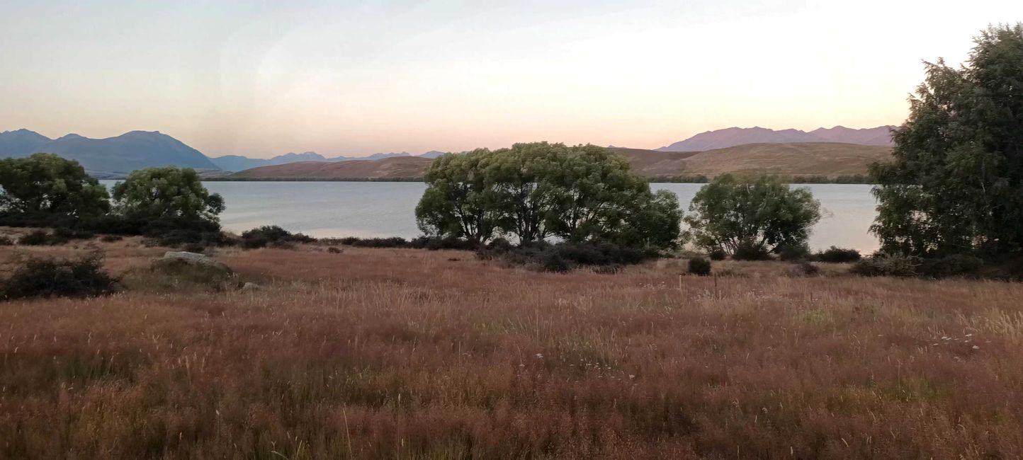 Matin au Lac Alexandrina