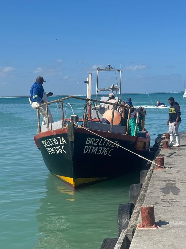 Kap Agulhas/Struisbaai