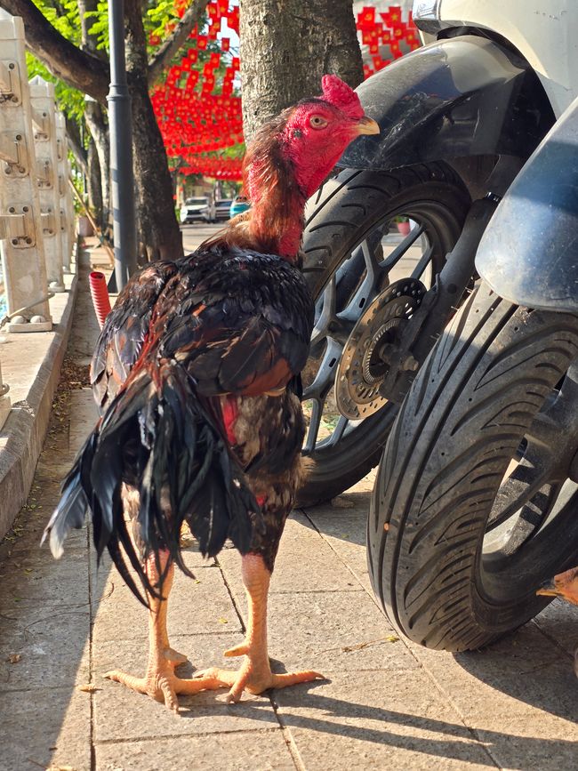 Hanoi, ein Blick zurück in Wehmut