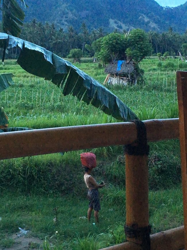 Bali