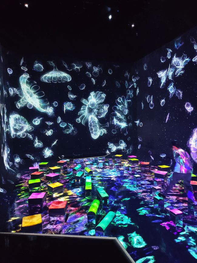 Ein Balanceakt vor und zurück. Sehr bunt und gar nicht so einfach mit all den Lichtern