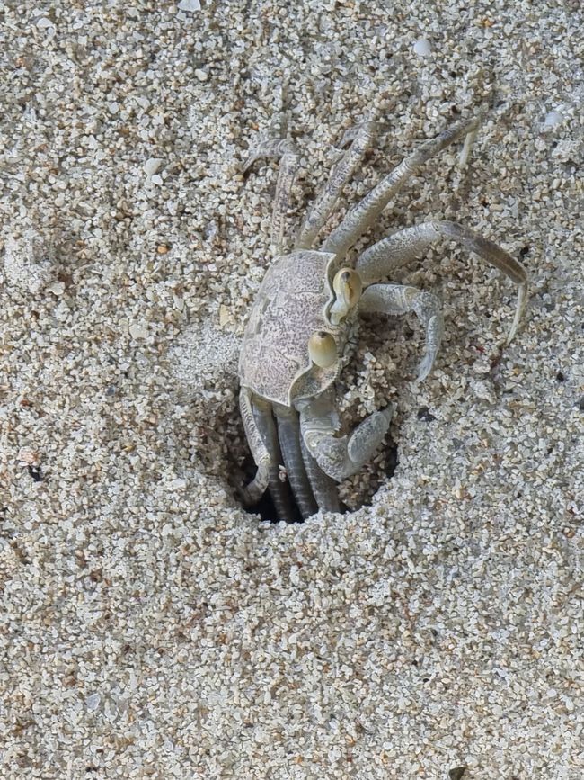 Tansania -> Seychellen - Tag 1: Anreise