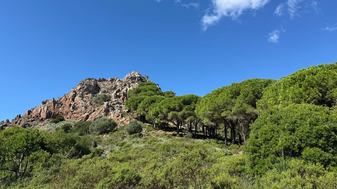Caminata al Monte Val di Capanne (Elba)