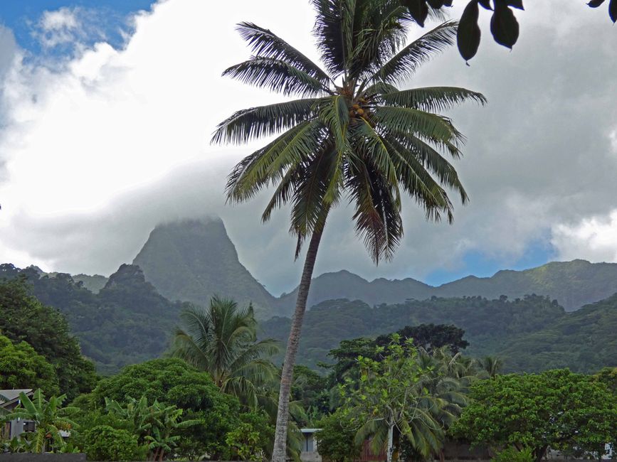 Mo orea