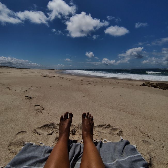 Aveiro -> Praia da Costa Nova
