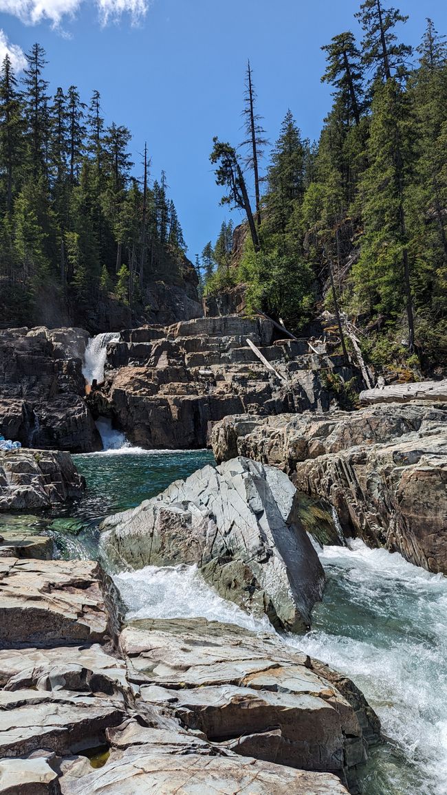 Camino hacia el Upper Myra Falls Trail