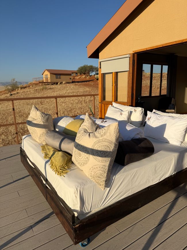 Namibia 2k25 🦓🏜️🐘