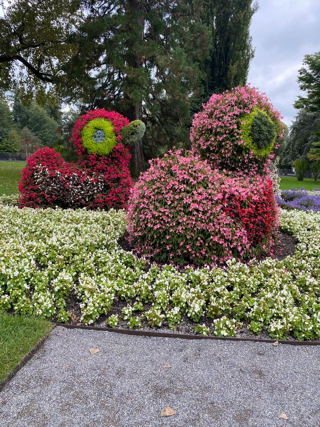 2. Tag in der Nähe von Konstanz 