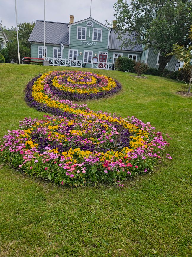 Blumen in Reykjavík 