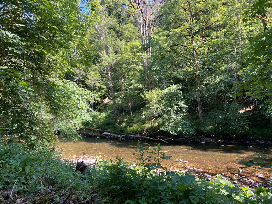 28 Wutachschlucht Pro Wolermoos
