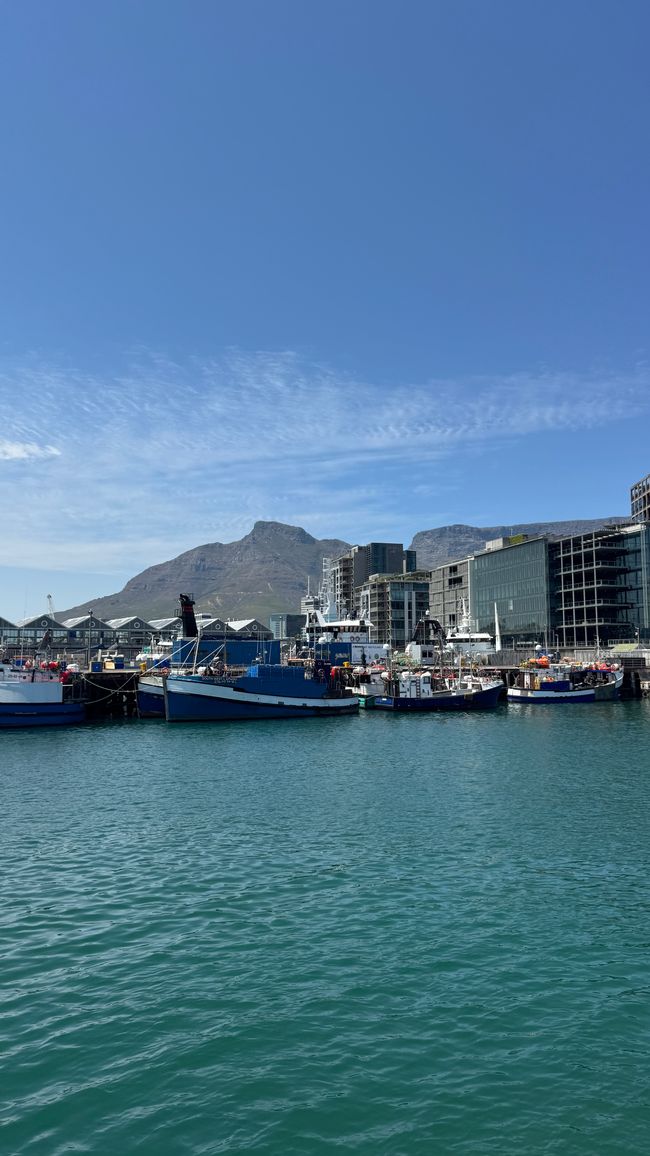 Tour del porto a Città del Capo, Spiaggia di Muizenberg, Spiaggia di Boulders, Capo di Buona Speranza
