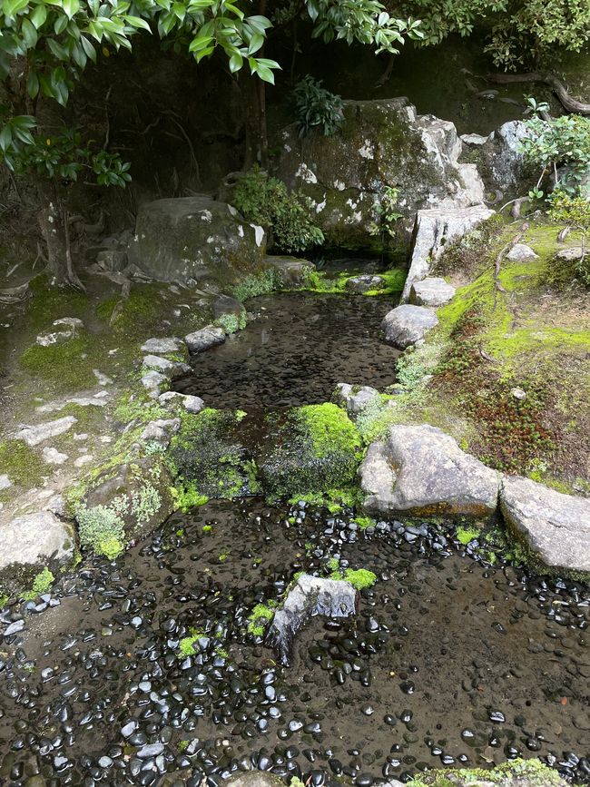 Teetassen für die Tee-Zeremonie