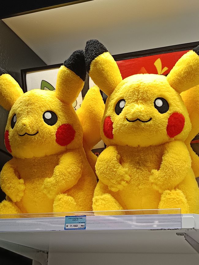 Tokyo auf eigene Faust