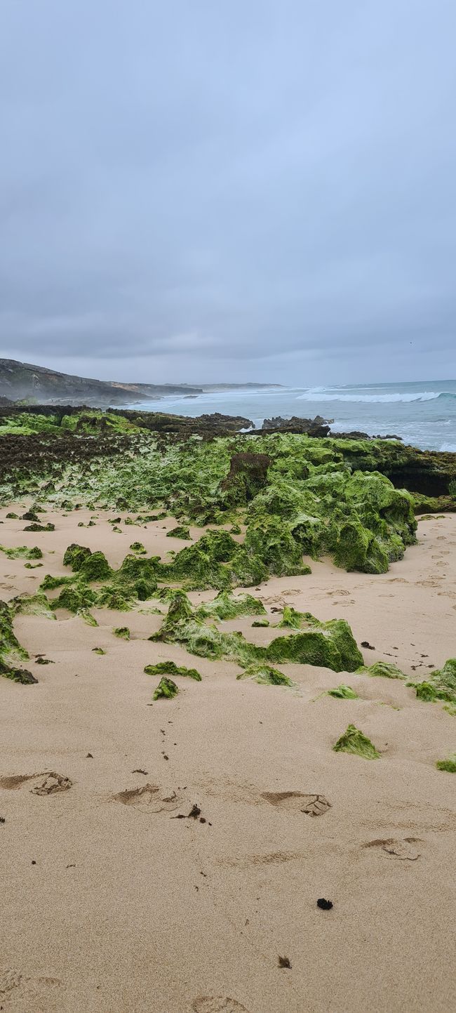 2. Tappa Porto Covo - Vila Nova de Milfontes