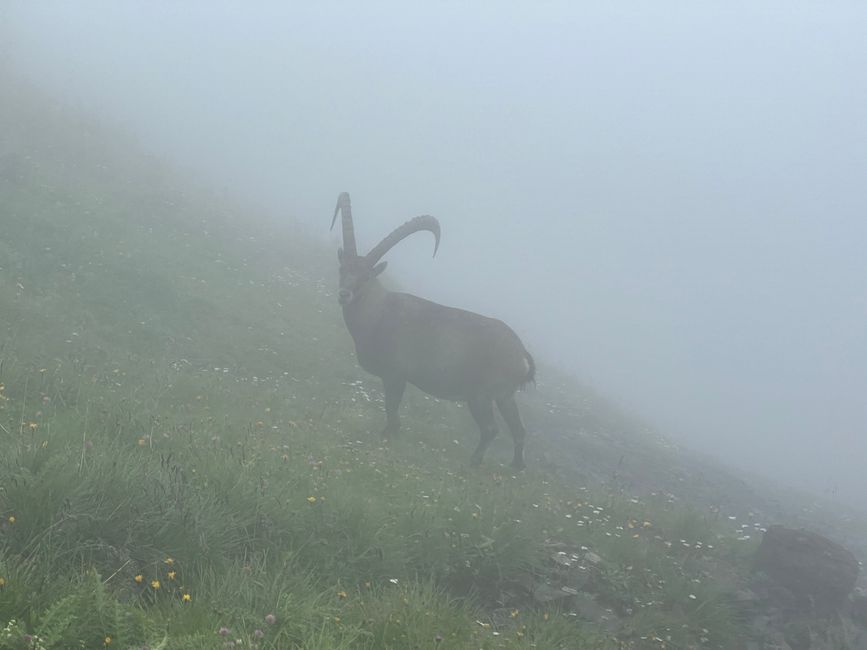 6. Etappe: Oberstdorf - Garmisch-Partenkirchen (Vordergraseck)