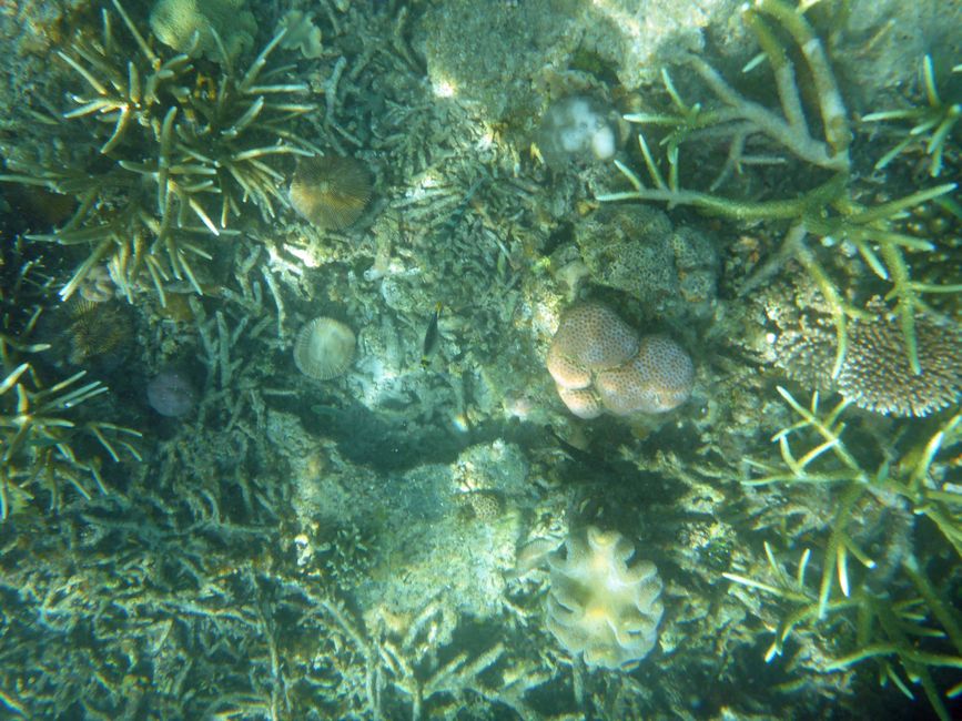 Misool, Westneuguinea, Indonesien, Insel-Ausflug